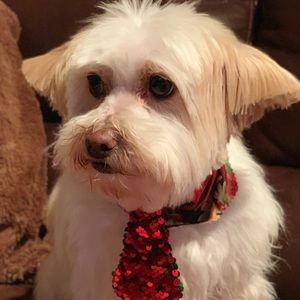 Meet your Posher, Ruby